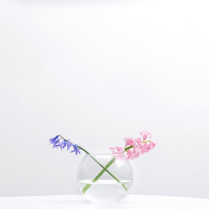 VBW0006 - แจกันแก้วใสทรงกลม - 6 ชิ้น - Product Image 6