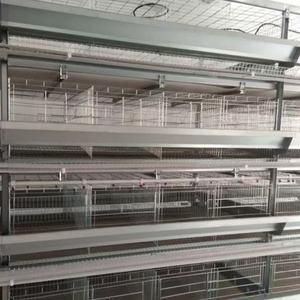 Equipo de alimentación automática comercial de gran oferta, jaulas de batería de nueva condición para gallinas ponedoras, jaula de capa de pollo de 3 o 4 niveles - Product Image 2
