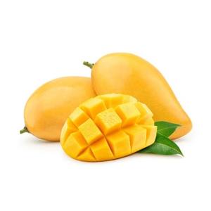 Poudre d'extrait de mangue biologique de qualité alimentaire, extrait de fruit naturel pour compléments alimentaires et boissons, fournisseur en gros d'exportation de Thaïlande - Product Image 4