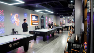 Table de billard en ardoise de 9 pieds avec système de nivellement et de résistance aux chocs élevés pour un usage professionnel personnalisable - Product Image 4