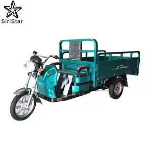 Made In China 850W Motor Electric Van Cargo Tricycle With Electric Trike Tricycle For Cargo