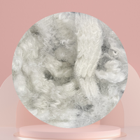 Fibre de polyester creuse conjuguée recyclée 10D 64mm non siliconée ignifuge PSF pour le rembourrage de textiles de maison et de vêtements