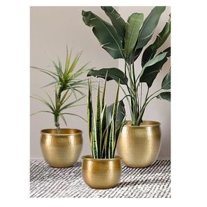 Le vase à fleurs en fer de décoration intérieure ajoute une touche de sophistication et de grâce, parfait pour améliorer les dessus de table, les consoles ou les entrées - Product Image 1