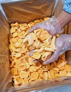 Jacquier congelé sans pépins de qualité supérieure du Vietnam prêt pour vos recettes - Product Image 4