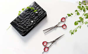 Kits de ciseaux | Salon de coiffure et salon de coiffure Ciseaux de coupe et d'amincissement avec étui à fermeture éclair - Product Image 2