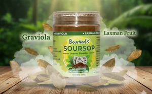 Poudre de feuilles de graviola au corossol 100gm thé au corossol naturel sans conservateurs ajoutés séché au soleil international exportation indienne - Product Image 4