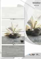 Carreaux muraux de cuisine en céramique de style moderne 30x60cm, meilleure collection pour revêtement mural intérieur, surface résistante aux acides et antibactérienne