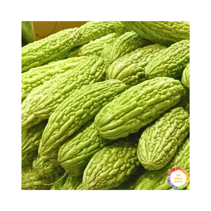 Melon amer frais congelé en tranches de qualité supérieure IQF du Vietnam, parfait pour la transformation des aliments et les acheteurs en gros - Product Image 2