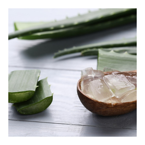 Pulpe d'Aloe Vera en vrac Vente en gros Vietnam Pulpe d'Aloe Vera naturelle de qualité supérieure dans du sirop Qualité d'exportation - Product Image 5
