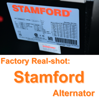 Generador Diésel DCEC 200kVA 250kVA 200kW 250kW Arranque Automático ATS Silencioso con Alternador Stamford