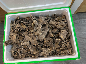 ชิปอาหารมื้อเย็นเกรดดีที่สุดสำหรับคู่พร้อมกลิ่นหรูหราจาก OWC1บริษัทโอูดเวียดนาม - Product Image 5