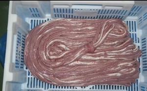 ไส้หมูแช่แข็งคุณภาพสูง ขนาดใหญ่ / ลำไส้ยาว |   เนื้อหมูราคาถูก - Product Image 5