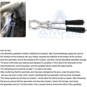 คีมตัดเหล็กสแตนเลสแบบ dizzburo ยาว9นิ้วพร้อมโลโก้ - Product Image 6