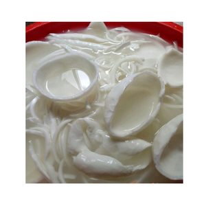 Meilleures ventes Viande de noix de coco jeune congelée Origine du Vietnam Douce et aromatique Parfait pour la crème glacée et la confiserie - Product Image 2