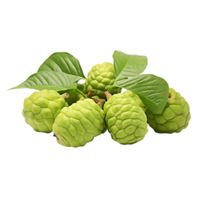 FRUTA ENTERA DE NONI CONGELADA |   ORIGEN VIETNAMITA |   100% Noni |   EMPAQUE AL VACÍO A GRANEL |   INGREDIENTE PARA JUGO SALUDABLE - Product Image 5