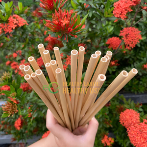 Vente en gros de paille de bambou en vrac pailles de bambou réutilisables pailles de bambou personnalisées biodégradables avec des prix bon marché de fabrication vn - Product Image 3