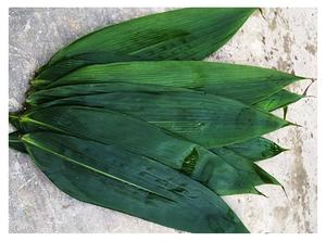 Feuille de bambou séchée entière naturelle verte séchée crue de qualité supérieure à partir de 99 données d'or Viet Nam - Product Image 4