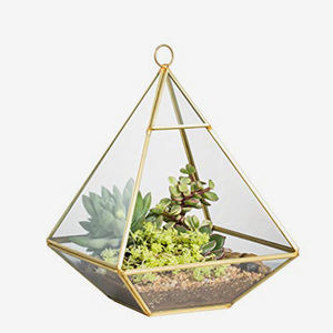 Diamond Shaped Iron and Glass Terrarium - Product Image 3