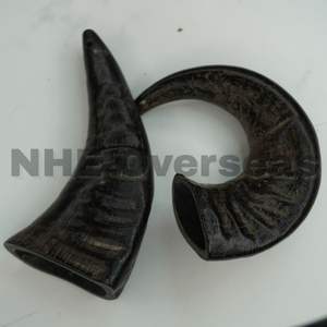 Búfalo Cuerno Perro Tratar Masticar natural Saludable Merienda de larga duración Seguro para mascotas Dientes fuertes y masticación diaria por NHE Overseas - Product Image 6