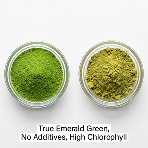 Matcha en Polvo de Grado Ceremonial 100% Orgánico, Té Verde Molido en Piedra, Té Instantáneo en Polvo - Product Image 2