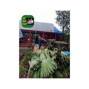 Toiture en chaume de palmier artificiel, résistante aux UV, imperméable, pour hutte tiki, gazebo, complexe hôtelier, structures d'ombrage extérieures - Product Image 1