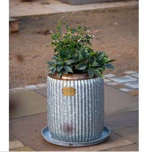 Exquisito diseño moderno en relieve, maceta de granja de Metal de estaño galvanizado, macetas de Metal modernas, suministros de jardín, maceta de hierro barata - Product Image 4