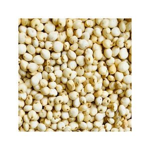 Grains de sorgho en vrac, vente en gros, prêts pour la distribution et le commerce - Product Image 3