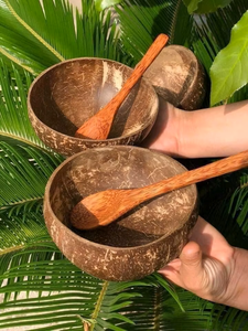 Bols en coquille de noix de coco pour servir des aliments, décoration de la maison et style de vie écologique, meilleur choix pour une vie durable - Product Image 5