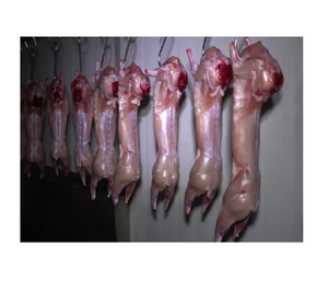 Jeune lapin entier congelé à vendre en vrac Viande de première qualité de 1kg à 2kg et de 1kg à 5kg Tailles disponibles à bas prix - Product Image 5