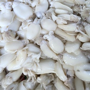 Calamar Congelado Entero y Limpio, IQF/BQF, Envasado al Vacío, 20-40cm, 24 Meses de Vida Útil, Exportación e Importación, Precio Competitivo, Nuevo, Vietnam - Product Image 5