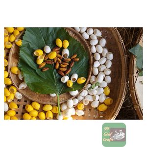 Cocons de ver à soie naturels à 100% pour gommage facial, nettoyage des pores et traitement exfoliant doux à la soie - Product Image 2