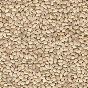 Semillas de Sésamo Premium, Sésamo Blanco Natural de Calidad Superior para Procesamiento de Alimentos y Mercados Internacionales - Product Image 6