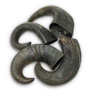 High Quality <b>Dog</b> Chews Natural <b>Water</b> Buffalo Horns <b>Dog</b> Treats Eco-Friendly Customized Color at Low Price - Product Image 1