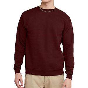 2025 Hip Hop Style Causal Wear Plain Blank 100% Cotton Sweatshirts for Unisex Streetwear Pullover <b>Hoodie</b> basics Sweatshirt - Product Image 4