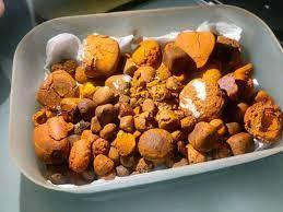 Cálculos biliares de calidad de exportación de ganado 100% naturales y cuidadosamente procesados para la venta - Product Image 3