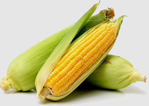 ข้าวโพดสีเหลืองแช่แข็งแบบไม่ใช้ GMO สำหรับอาหารสัตว์แบบแห้งขายดี - Product Image 3