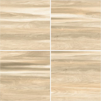 Carreaux de porcelaine ROBEL WOOD VERDE brun rustique 600x600mm modèle de mur et de sol par Novac Ceramic LLP pour applications indiennes
