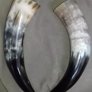 Cuerno vikingo personalizado Cuerno con acabado pulido Auténtico hecho a mano disponible para la venta por artesanía creciente - Product Image 1