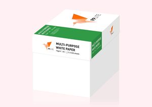 Papier copie blanc A4 personnalisé PP Lite 70 g/m², 500 feuilles, emballage carton, 70-80 g/m² - Product Image 4