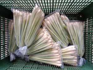Citronnelle Fresh/IQF des produits agricoles du Vietnam, la plupart des prix concurrentiels sur le marché - Product Image 5
