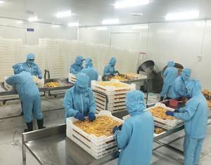 Dried Mango 100% Natural Soft Dried Sweet Mango High Quality From Vietnam OEM Packaging / Lucas - Product Image 3