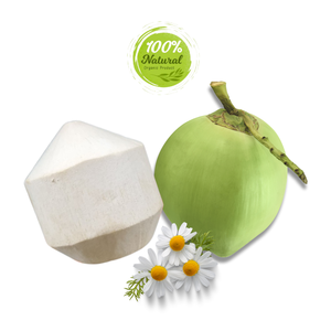 มะพร้าวเจียระไนเพชรเพื่อสุขภาพของผู้หญิงผลิตภัณฑ์ทางการเกษตรระดับพรีเมี่ยม - Product Image 4