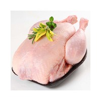 Poulet entier congelé IQF biologique de qualité supérieure, faible en gras, sans gluten, enrichi en vitamines, conditionnement en vrac pour supermarchés