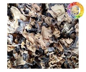 Hongo de la Oreja Seco de Vietnam de Alta Calidad, Hongo de la Oreja Natural, Hongo Negro, Fábrica para el Mercado Mayorista - Product Image 6