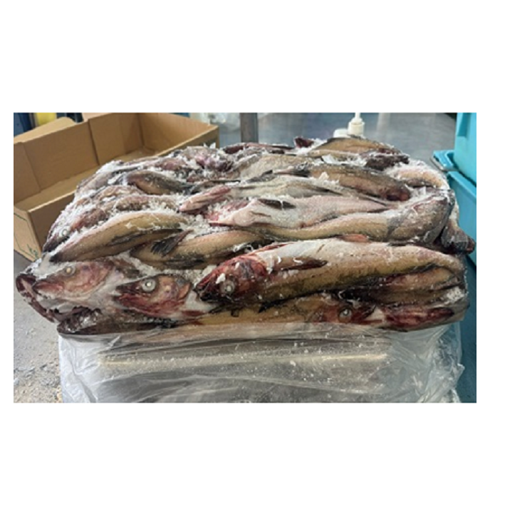 Вкусная идеальная глубокая жарка, оптовая продажа, онлайн-закуска, Замороженные смешанные сушеные морепродукты