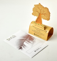 Boîte d'emballage rectangulaire pliable personnalisée de haute qualité pour aliments santé et médicaments, avec impression offset couleur sur papier et reliure parfaite