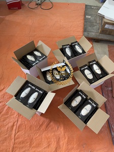 Chất Lượng Cao Khô Mực Xương Mực OS De Seiche Mực Cá Mực Xương Có Hương Vị Chim Mực Xương - Product Image 5