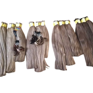 Proveedor de confianza ofrece extensiones de cabello humano virgen de color claro vietnamita Remy de doble dibujado de alta calidad a granel 100 g/paquete de hueso - Product Image 1