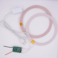 Module d'alimentation sans fil Taidacent 220V haute puissance longue portée 100mm, kit PCB de charge inductive, sortie 24V 450mA