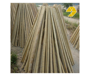 ไม้ไผ่ไม้ไผ่ไม้ไผ่ไม้ไผ่ culm แข็งแรงวัสดุไม้ไผ่ที่ใช้ในการก่อสร้างฟาร์มภายในโครงการเวียดนาม - Product Image 1